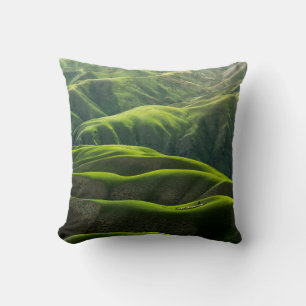 COUSSIN PHOTOGRAPHIE DE L'OISEAU DES MONTAGNES VERTES