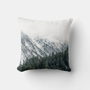 COUSSIN PHOTOGRAPHIE DU PAYSAGE DES ARBRES