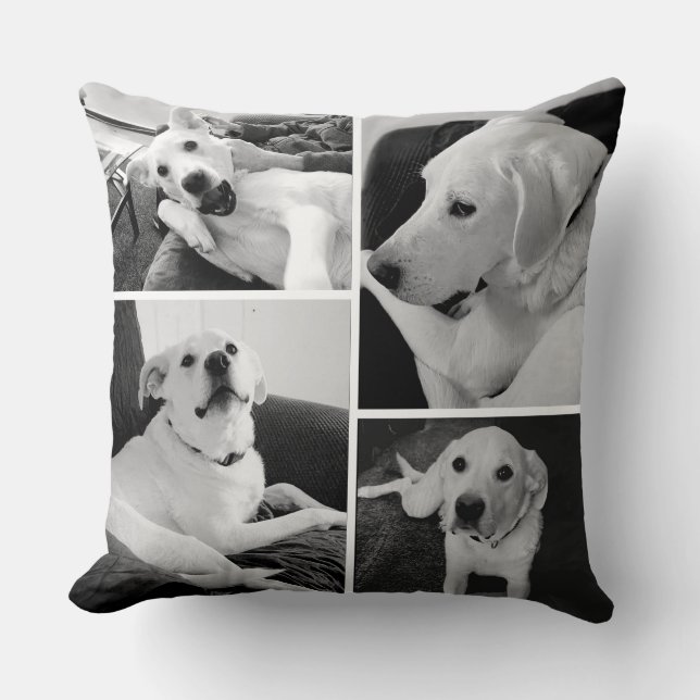 Coussin Photos de chiens noirs et blancs mignons et amusan (Recto)