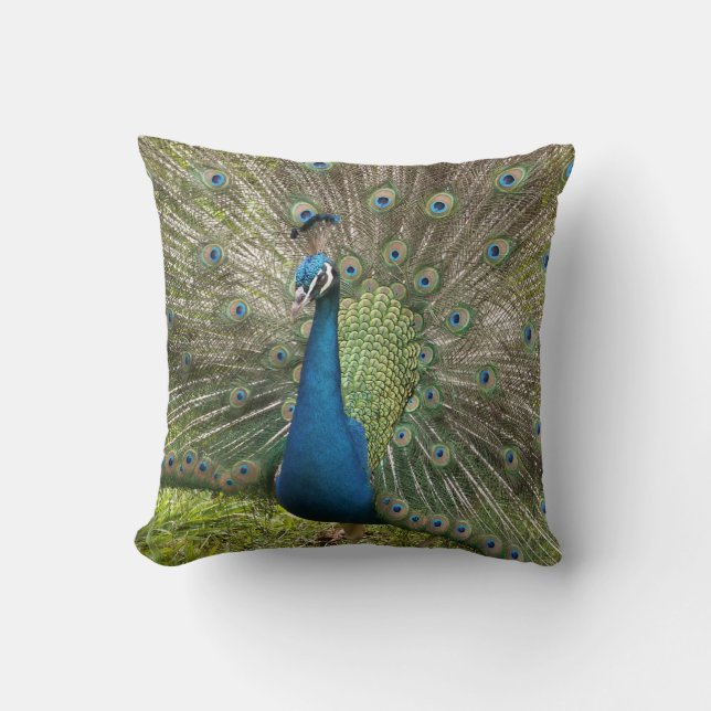 Coussin Pic (Recto)