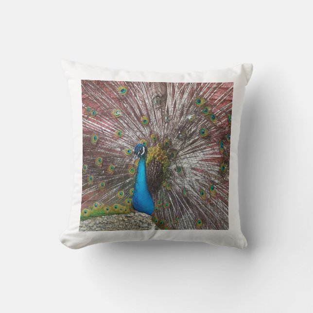 Coussin Pic (Recto)