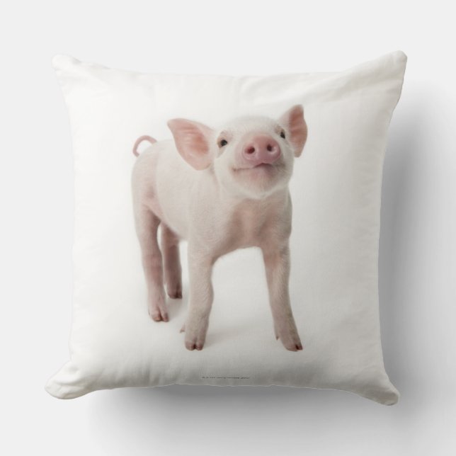 Coussin Pig debout en regardant (Recto)