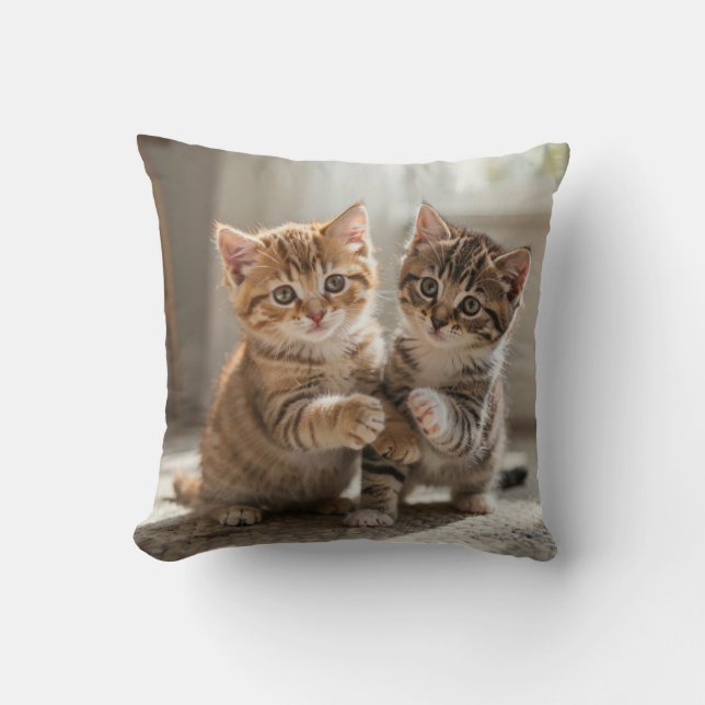 Coussin Pilloe (Recto)