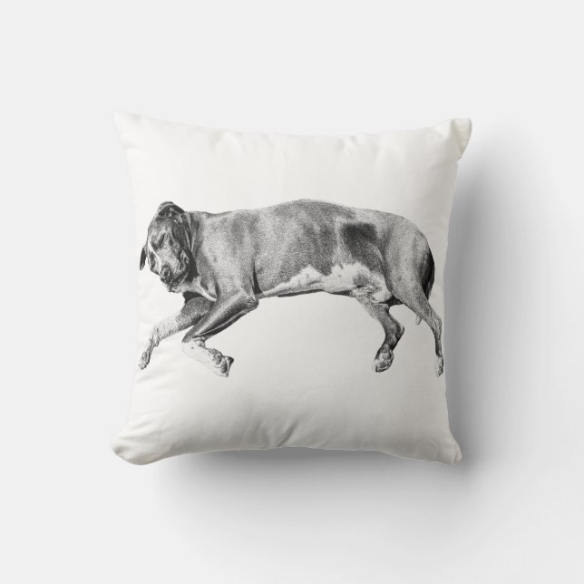 Coussin Pillow-Side Dreams for December (Recto)