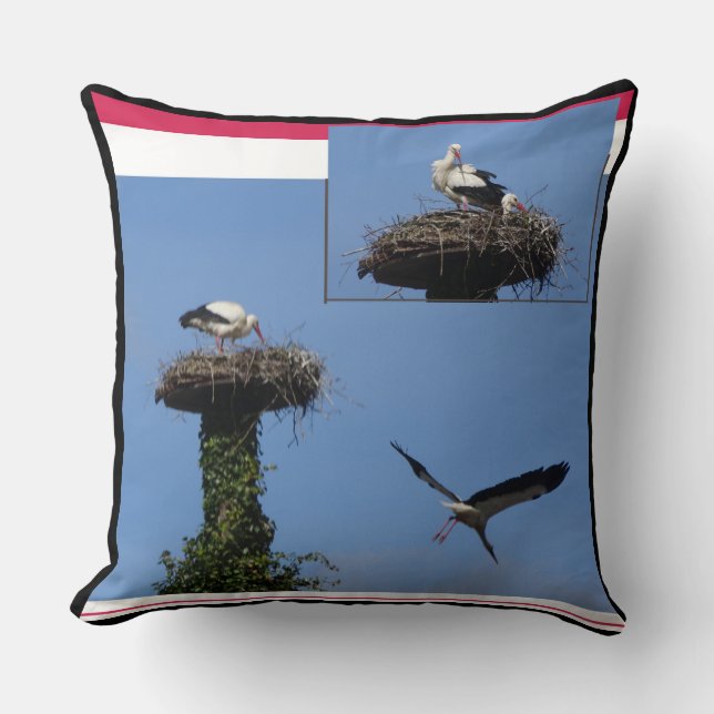Coussin Pilote de transmission de la cigogne  (Recto)