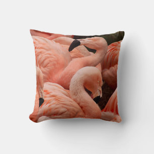 Coussin Pink flamingos