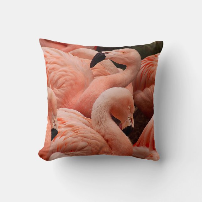 Coussin Pink flamingos (Recto)