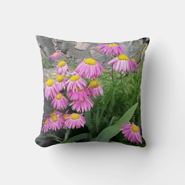 Coussin Pink Peint marguerite Fleurs Nature photographie (Recto)