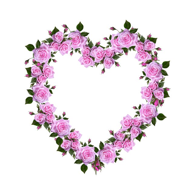 Coussin Pink Rose Heart Floral Decorative Pillow (Nice pillow
https://www.zazzle.com/pink_rose_heart_floral_decorative_pillow-256871750285314100)