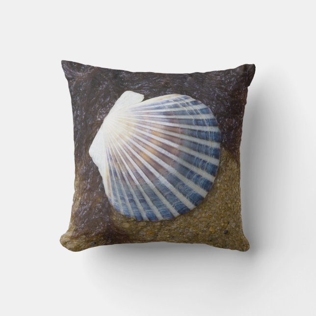 Coussin Piscine de marée (Recto)