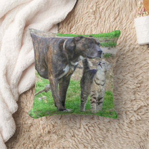 Coussin Pit Bull et Cat