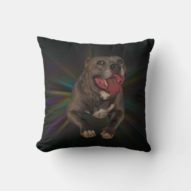 Coussin Pitbull (Recto)