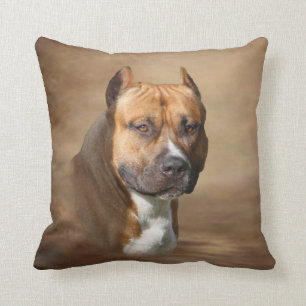 Coussin Pitbull américain