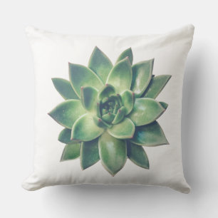 Coussin Plante grasse verte moderne et amicale sur fond bl