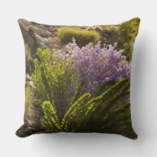 Coussin plantes du désert de Chihuahuan en fleurs