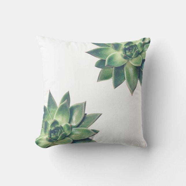 Coussin Plantes succulents verts sur blanc (Recto)