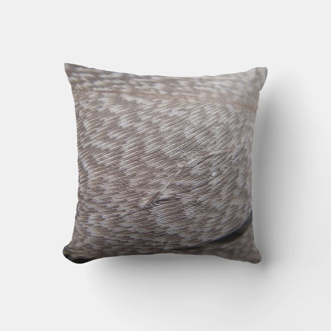 Coussin Plume brune décodée (Recto)
