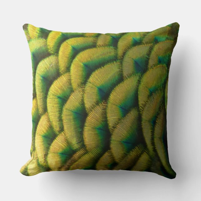 Coussin Plumes de paon II Nature colorée (Recto)