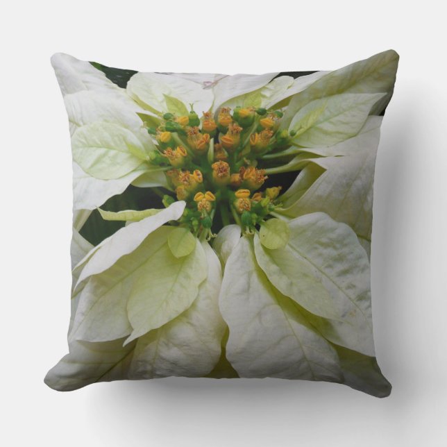Coussin Poinsettia Elegant Christmas Holiday Floral (Recto)
