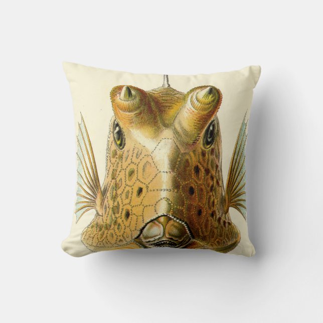 Coussin Poissons à cornes étranges (Recto)