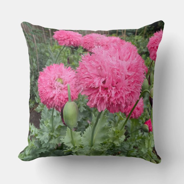 Coussin Poppies Pom Pom Rose (Recto)