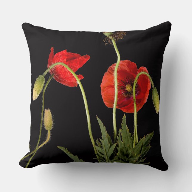Coussin Poppies Rouges Vibrantes Sur Noir (Recto)
