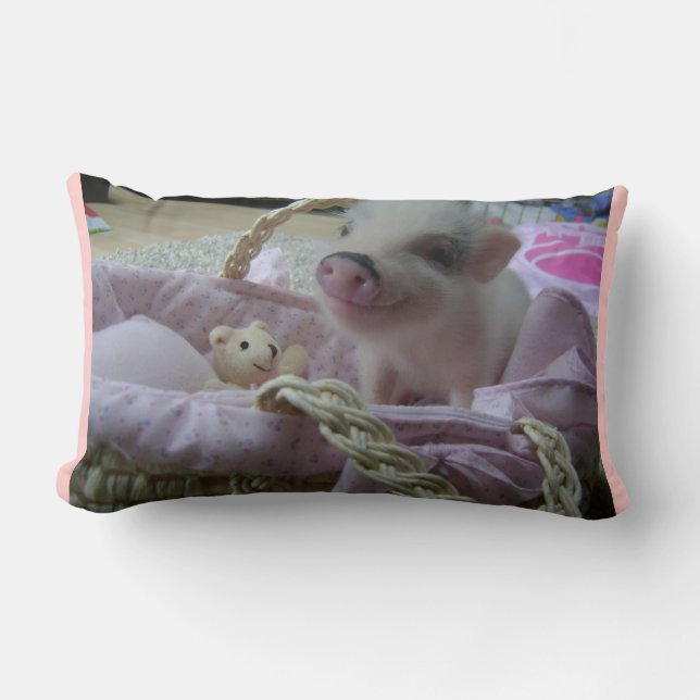 Coussin porcin mignon (Recto)