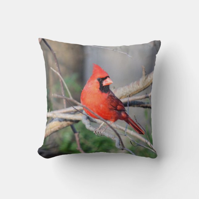 Coussin Portrait cardinal (Recto)