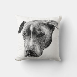Coussin Portrait Compagnon