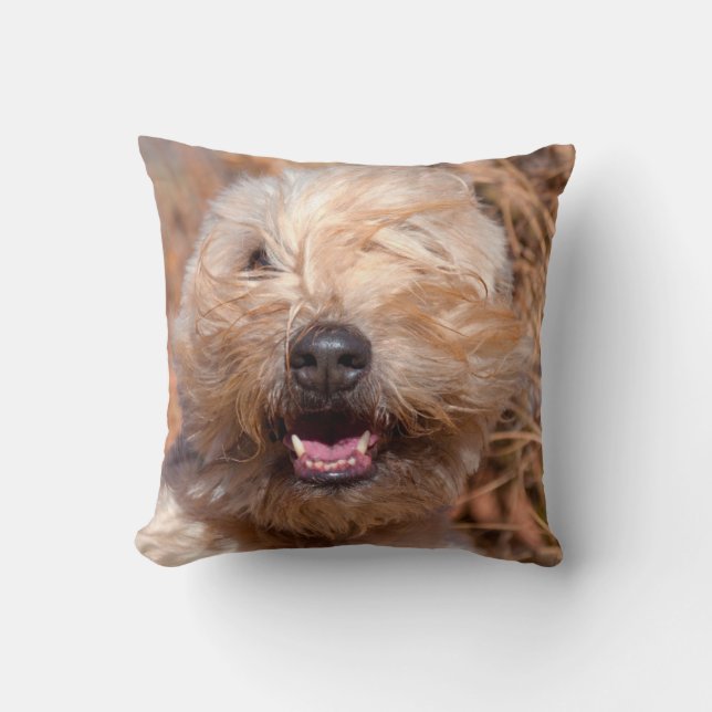 Coussin Portrait de Terrier roux à revêtement souple (Recto)