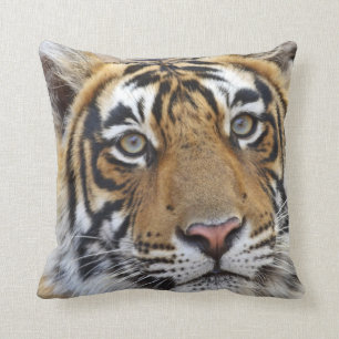 Coussin Portrait du Tigre royal du Bengale, Ranthambhor