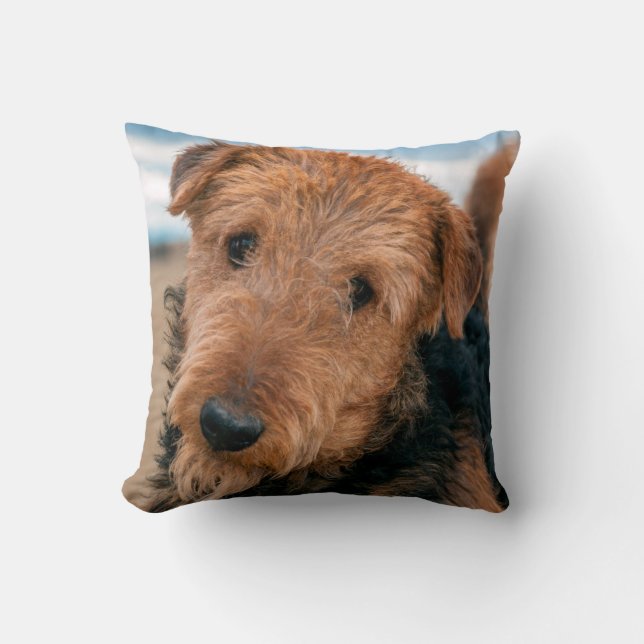 Coussin Portrait d'un Airedale Terrier (Recto)