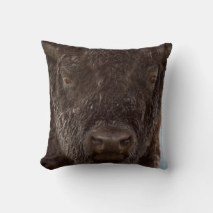 Coussin Portrait d'un bison mâle sous la pluie