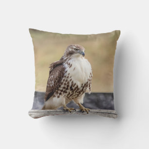 Coussin Portrait d'un faucon coupé la queue par rouge non