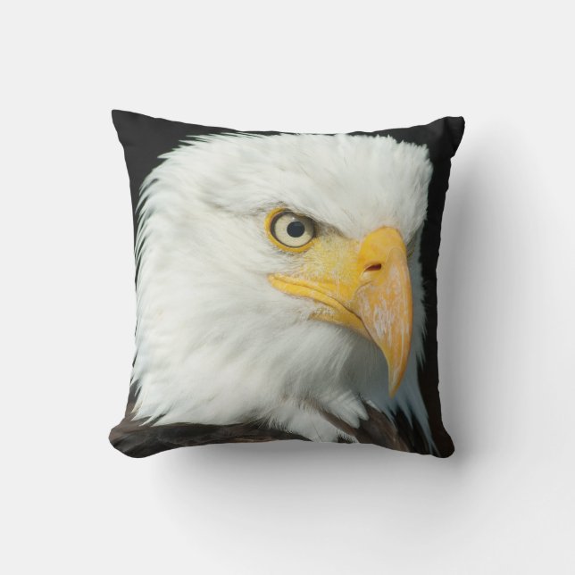 Coussin Portrait Majestic Bald Eagle (Recto)