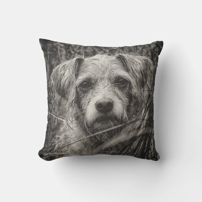 Coussin Portrait noir et blanc mignon et chiot photo (Recto)