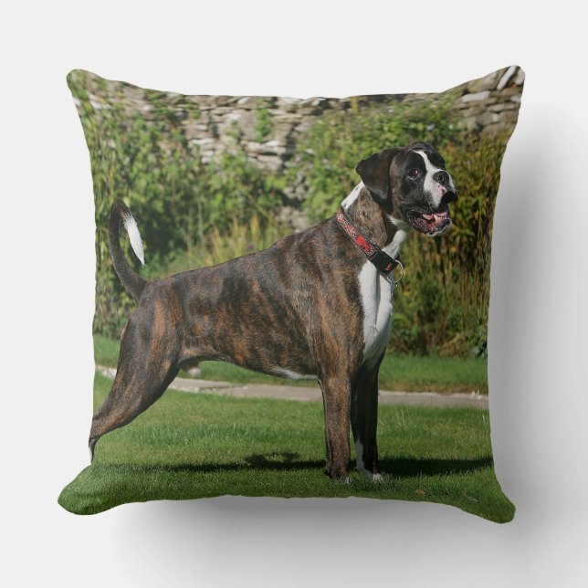 Coussin Position Brindle d'exposition canine de boxeur (Recto)