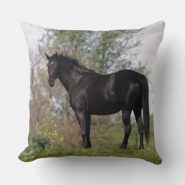 Coussin Position de cheval de pur sang (Recto)