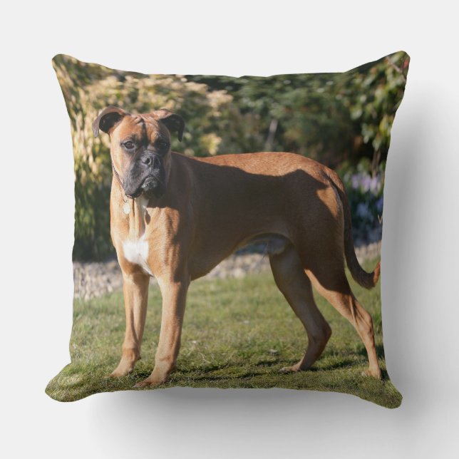 Coussin Position de chien de boxeur de faon (Recto)