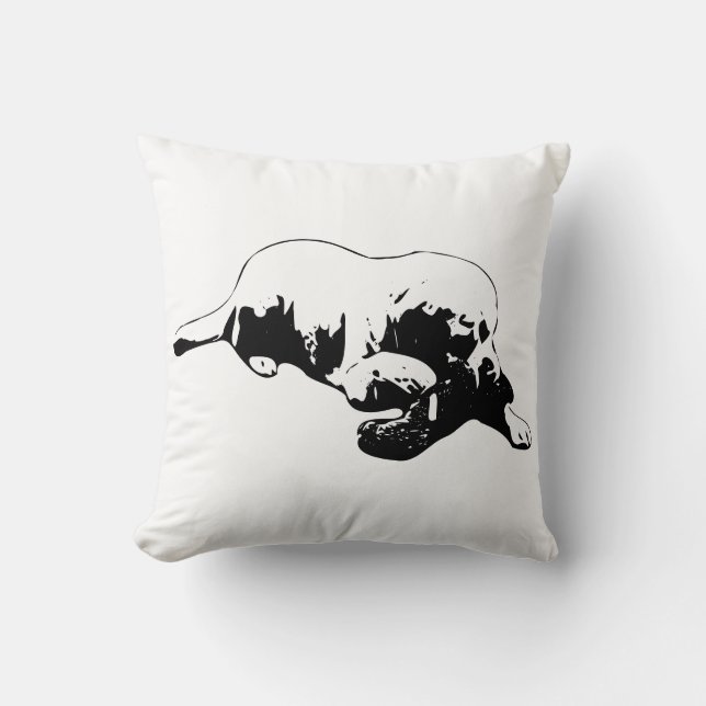 Coussin Possession tranquille (Recto)