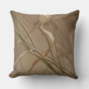 Coussin Pots de Milkweed du désert