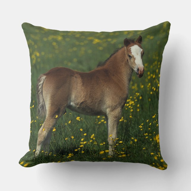 Coussin Poulain de Gallois (Recto)