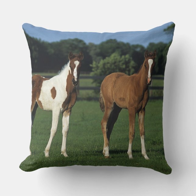 Coussin Poulains d'Arabe se tenant dans le domaine herbeux (Recto)