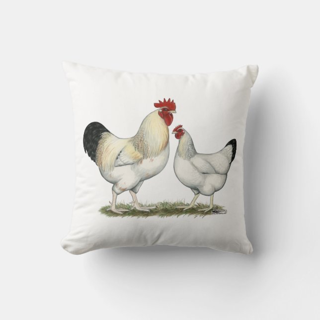Coussin Poulets de la rivière Indian (Recto)