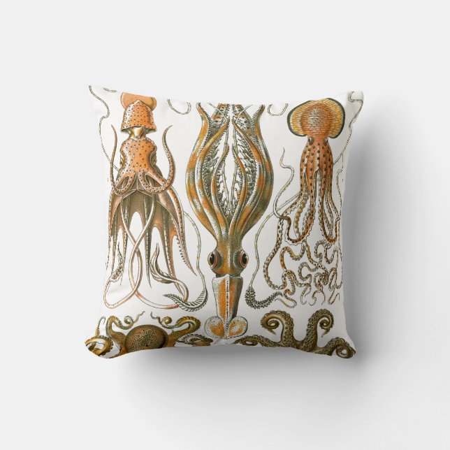 Coussin Poulpe vintage, illustration de calmar (Recto)
