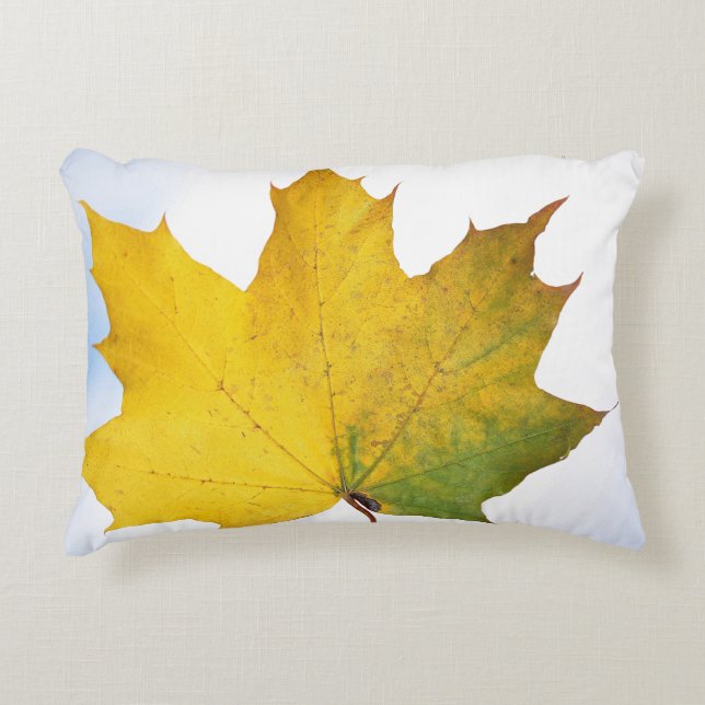 Coussin pour chaque chambre (Devant)