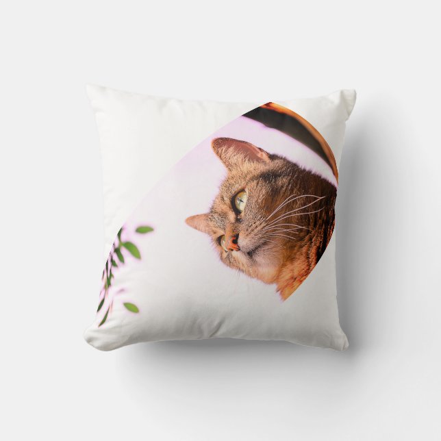 coussin pour mémoire votre chat (Recto)