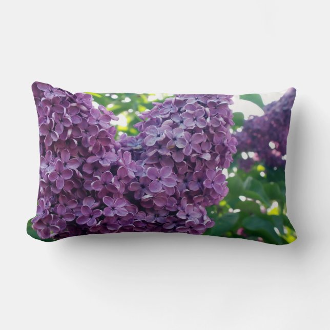Coussin pourpre de lilas (Recto)