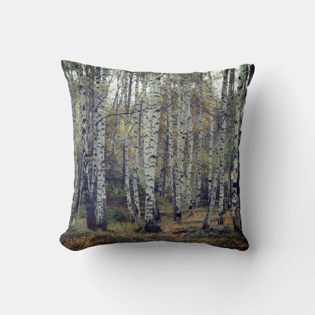 Coussin Poussin de chasse de bouleau 41 x 41 cm (Recto)