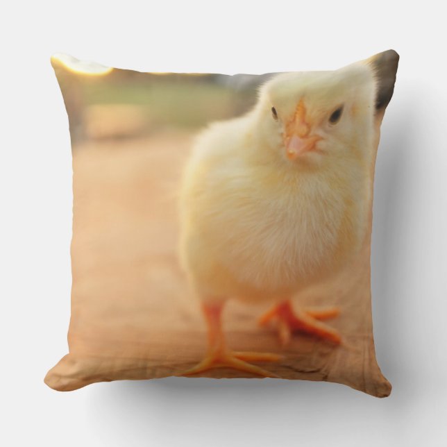 Coussin Poussins de bébé (Recto)